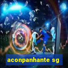 aconpanhante sg