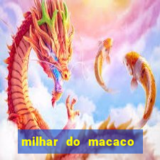 milhar do macaco que mais saem no jogo do bicho