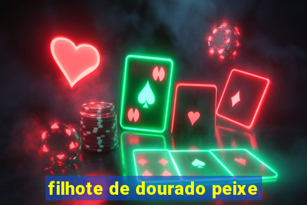 filhote de dourado peixe