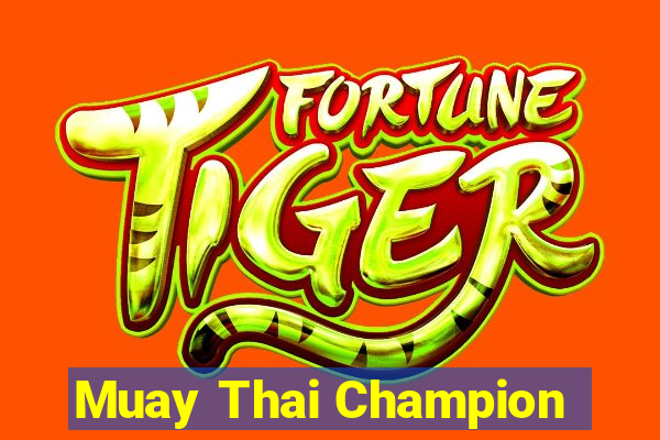 Muay Thai Champion