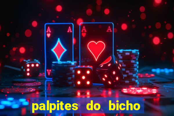 palpites do bicho no celular