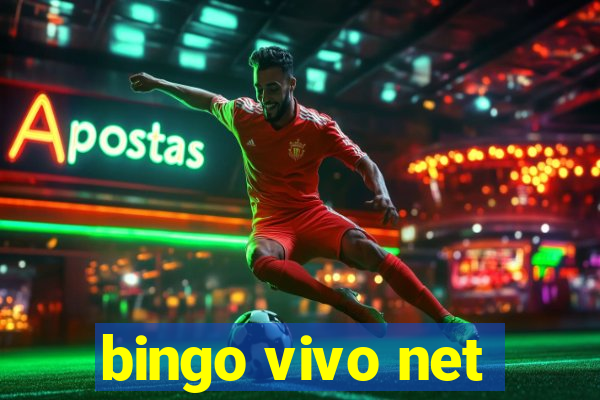 bingo vivo net