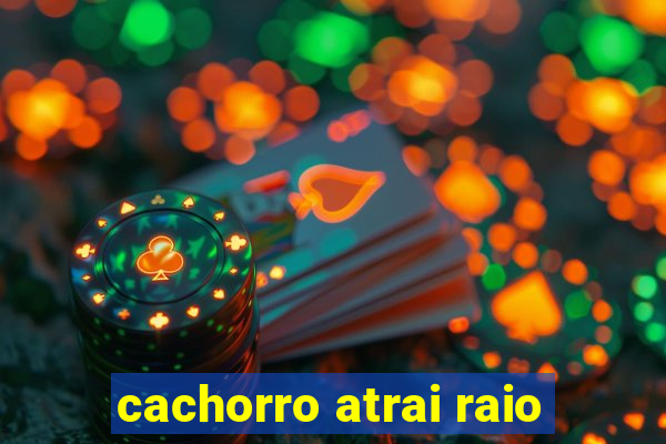 cachorro atrai raio