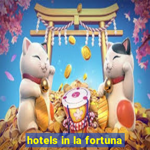 hotels in la fortuna