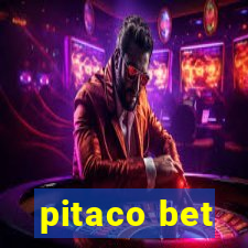 pitaco bet