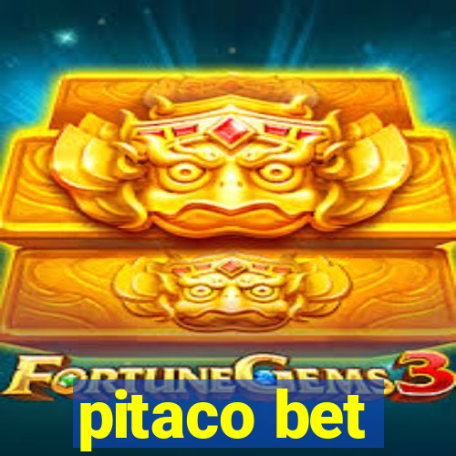 pitaco bet