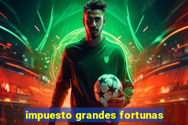 impuesto grandes fortunas