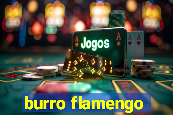 burro flamengo