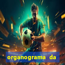 organograma da cacau show