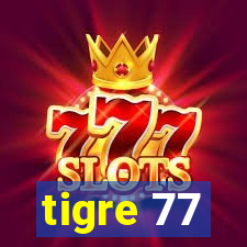 tigre 77