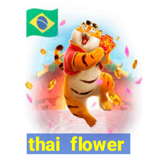 thai flower megaways slot online