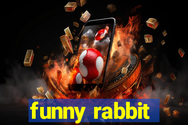 funny rabbit