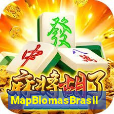 MapBiomasBrasil