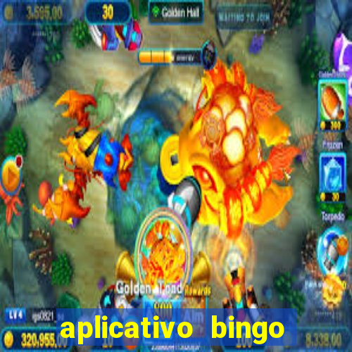 aplicativo bingo paga mesmo