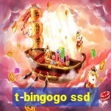 t-bingogo ssd