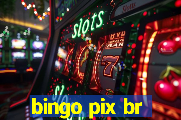 bingo pix br