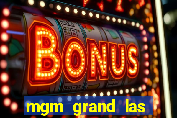 mgm grand las vegas hotel & casino