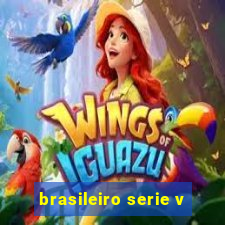 brasileiro serie v