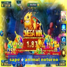 sapo é animal noturno