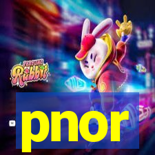 pnor