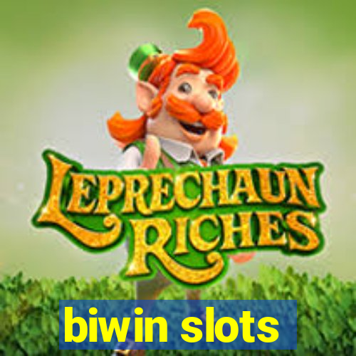 biwin slots