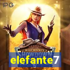 elefante7