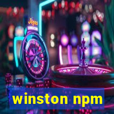 winston npm