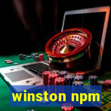 winston npm