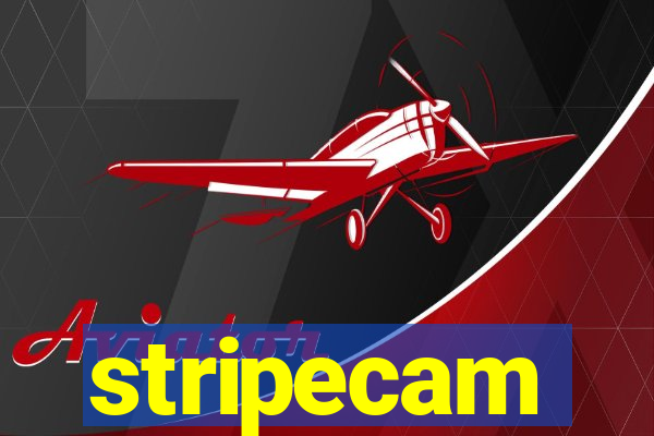 stripecam