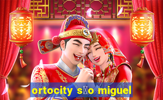 ortocity s茫o miguel