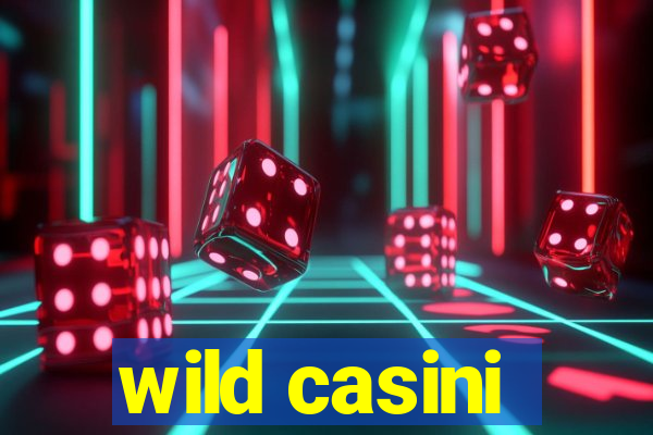 wild casini