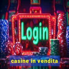 casine in vendita