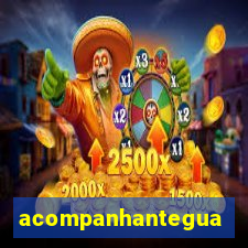 acompanhanteguanambi