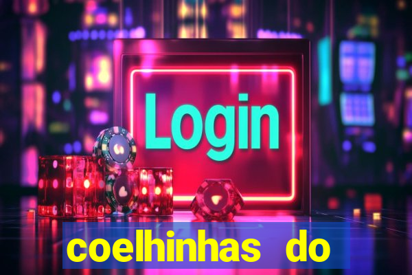 coelhinhas do brasil acompanhantes