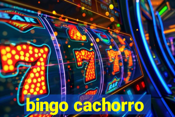 bingo cachorro