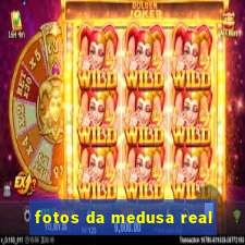 fotos da medusa real