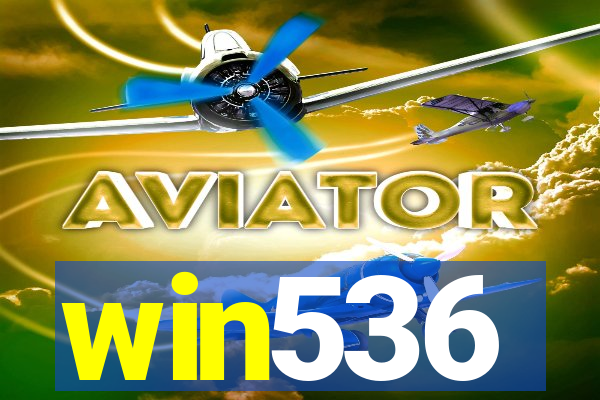 win536