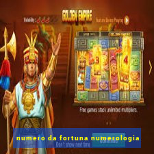 numero da fortuna numerologia