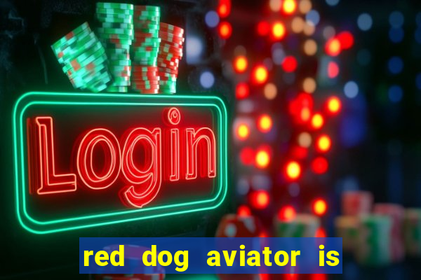 red dog aviator is real or fake