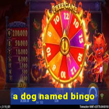 a dog named bingo