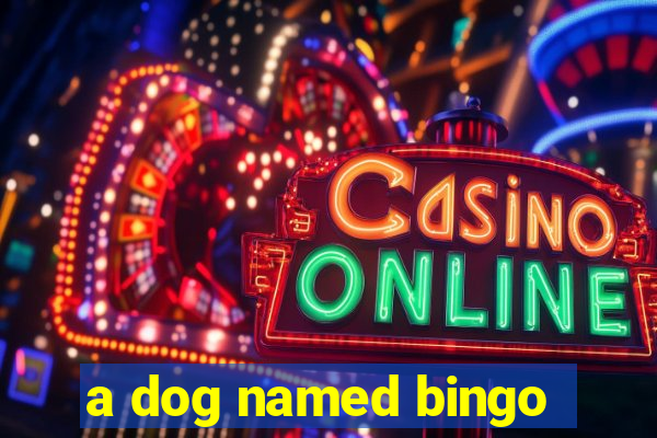 a dog named bingo