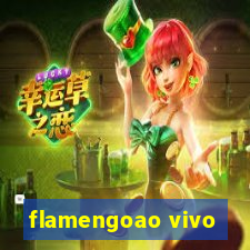 flamengoao vivo