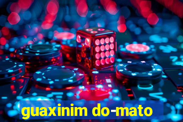 guaxinim do-mato