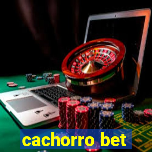 cachorro bet