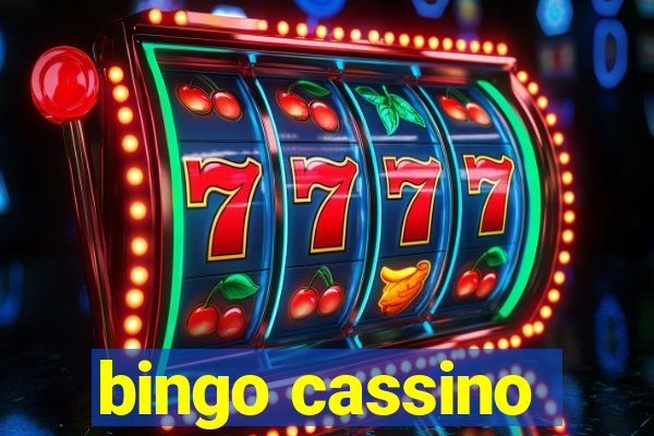 bingo cassino