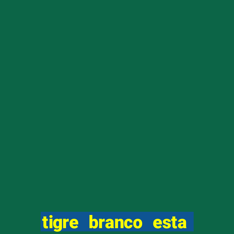 tigre branco esta em extinção