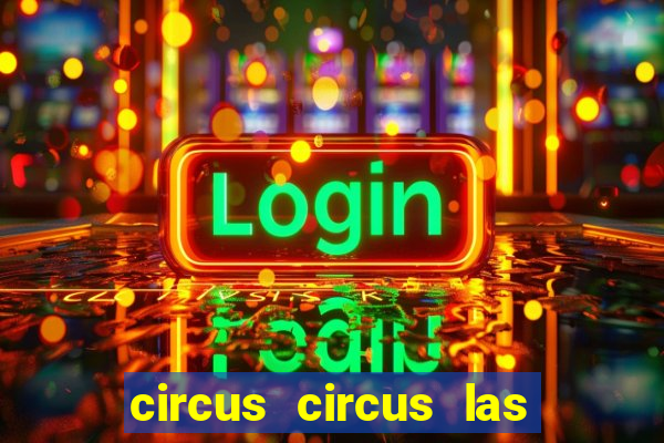 circus circus las vegas hotel & casino