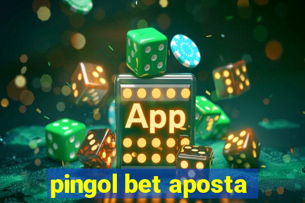 pingol bet aposta