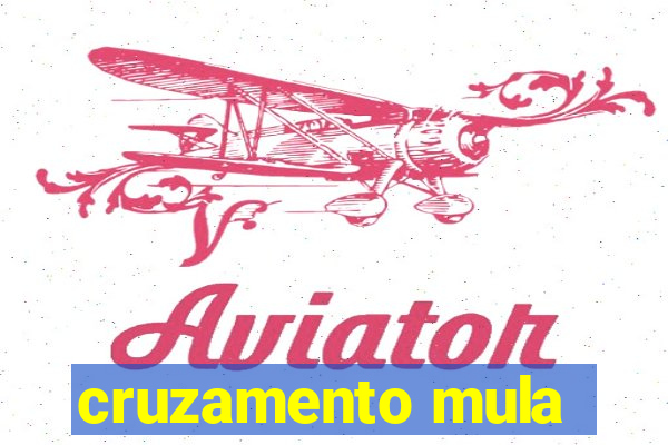 cruzamento mula