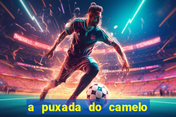 a puxada do camelo no jogo do bicho